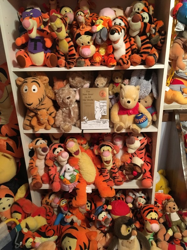 Shelf of stuffed Tiggers part of Deb Hoffmann Guinness World Record Holder of Largest Winnie the Pooh Memorabilia collection