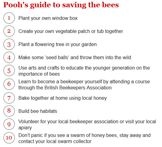 Pooh's guide to saving the bees 