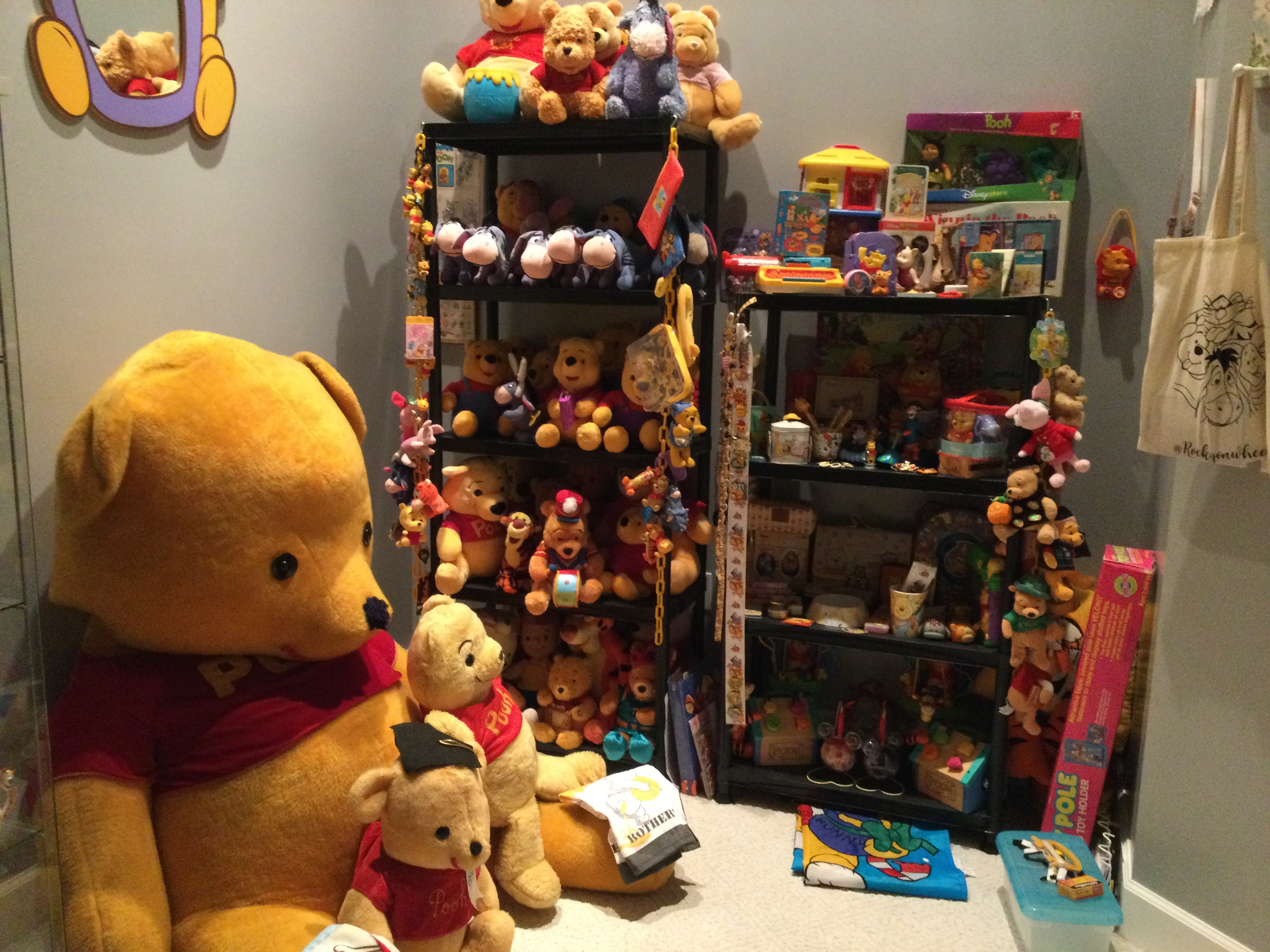 Deb Hoffmann's record-breaking Winnie the Pooh collection is split between her Winter Haven and Wisconsin residences. These items are at her Florida home. (Courtesy Deb Hoffmann / Courtesy photo)