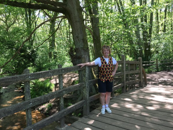 Visit to Pooh Sticks Bridge in Ashdown Forest Hartford England