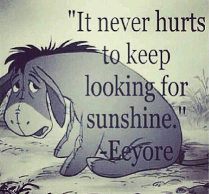     It never hurts to keep looking for sunshine