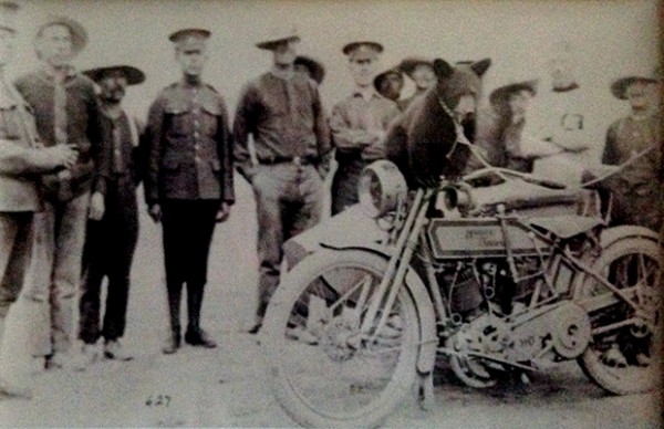 The black-furred bear, a female named Winnipeg, was purchased by Canadian lieutenant, Harry Colebourn and made the mascot of his World War I troop.